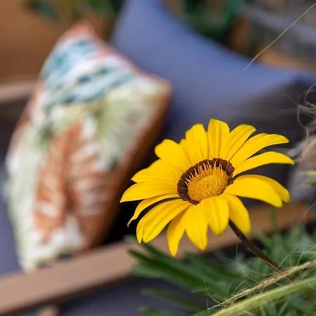 Le Mole B&B 마리노