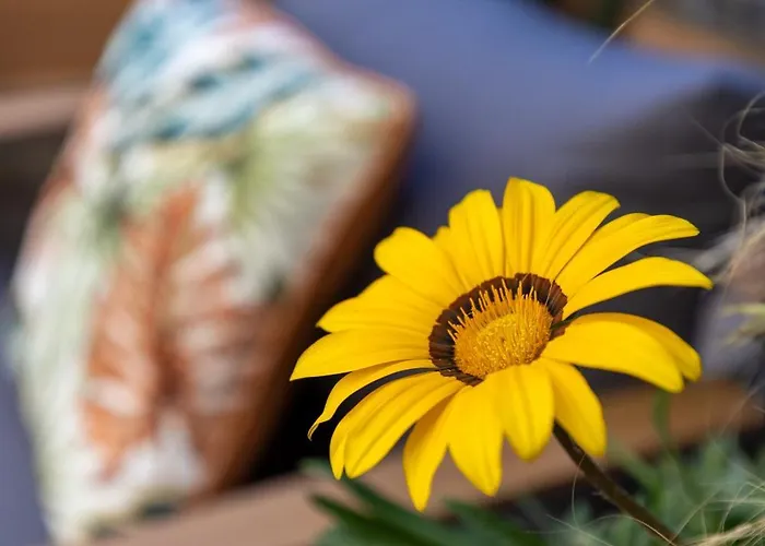 Le Mole Frühstückspension Marino