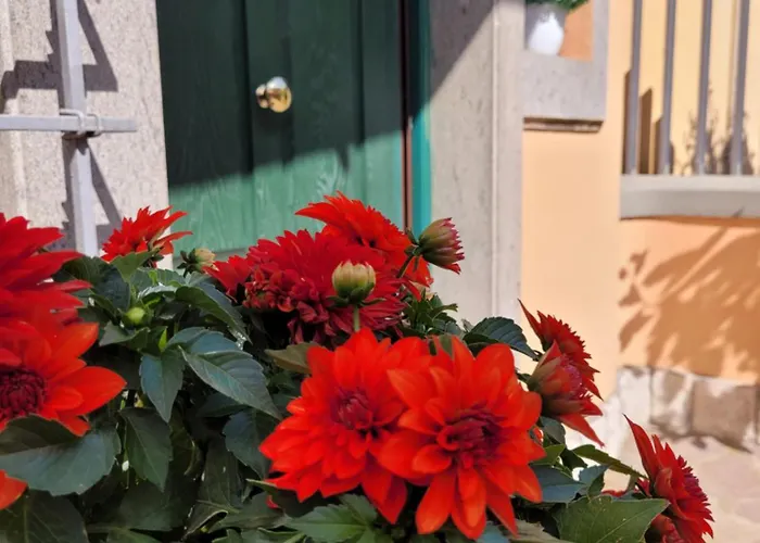 Frühstückspension Le Mole Marino